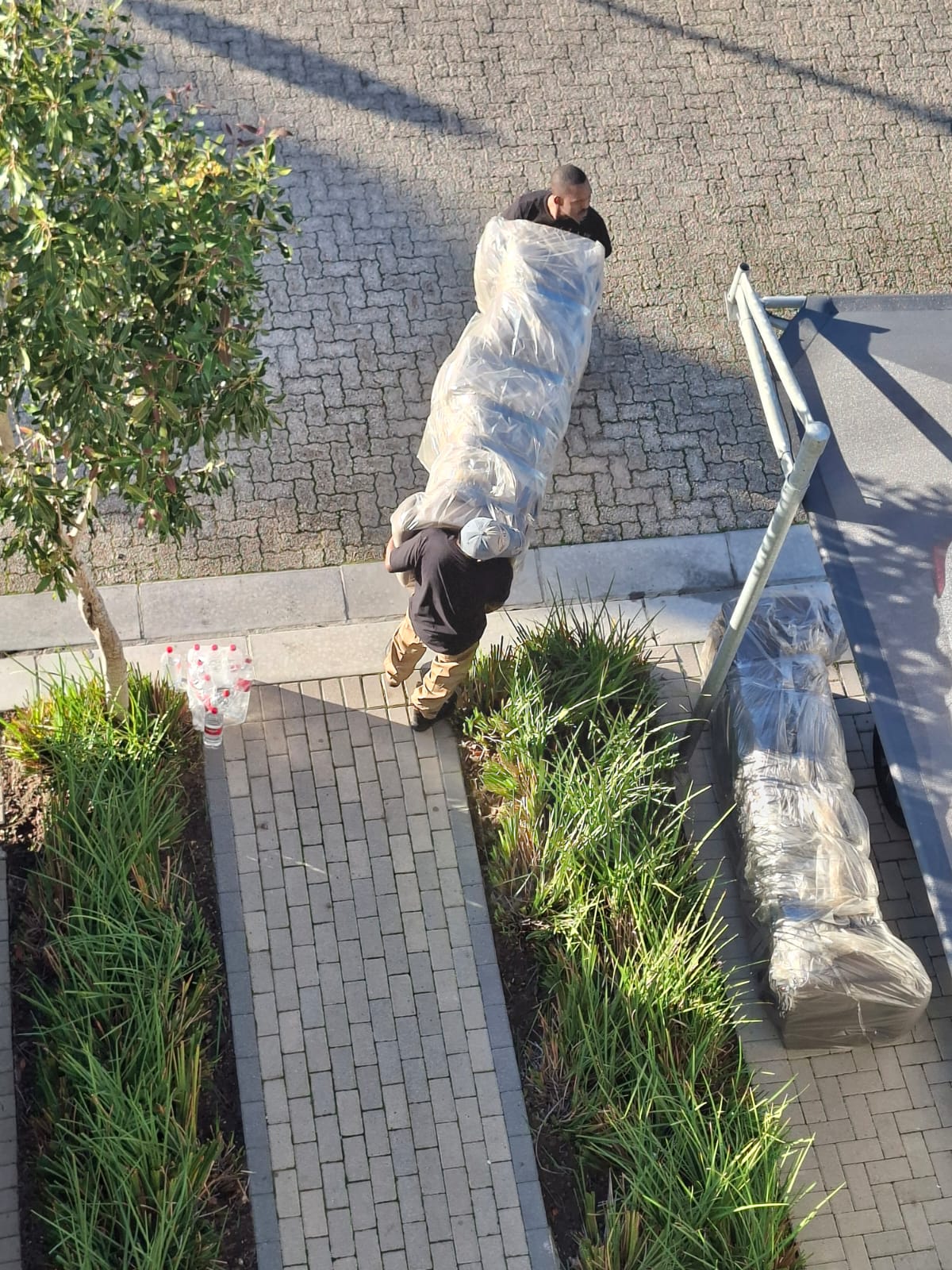 Movers carrying a plastic-wrapped mattress along a paved walkway